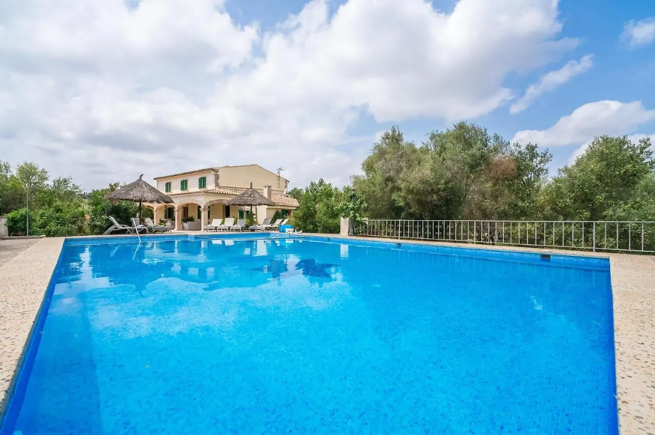 Ideal Property Mallorca - Son Perxa Petra  Spain