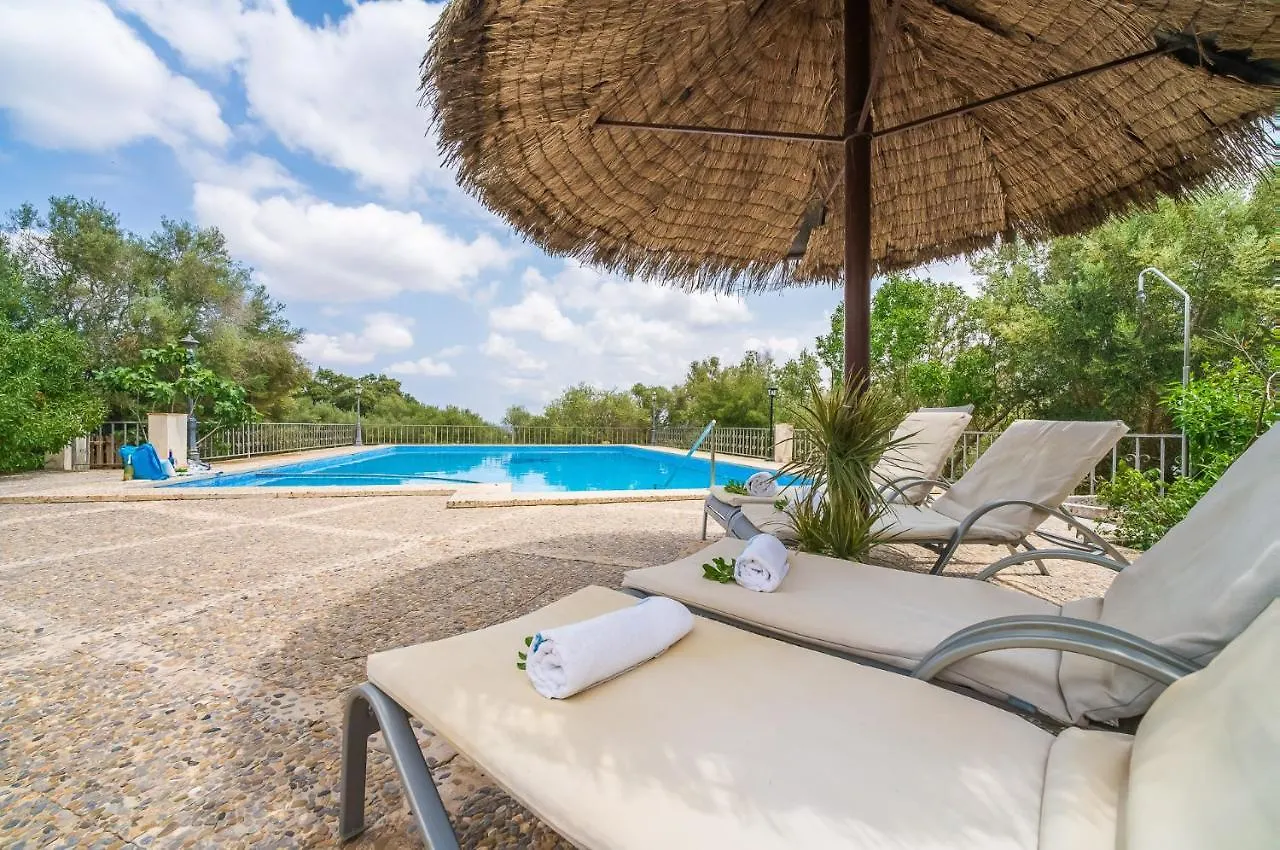 Ideal Property Mallorca - Son Perxa Petra  0*, Petra (Mallorca)